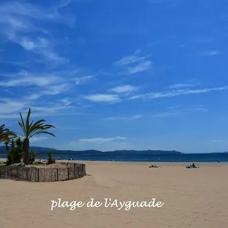Plage A 400 M Studio Tout Confort Terrasse Clim Parking Hyeres Exterior photo